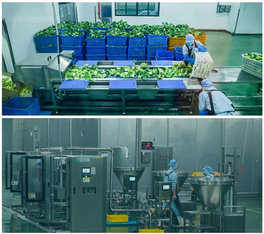 微信图片_20260130155611